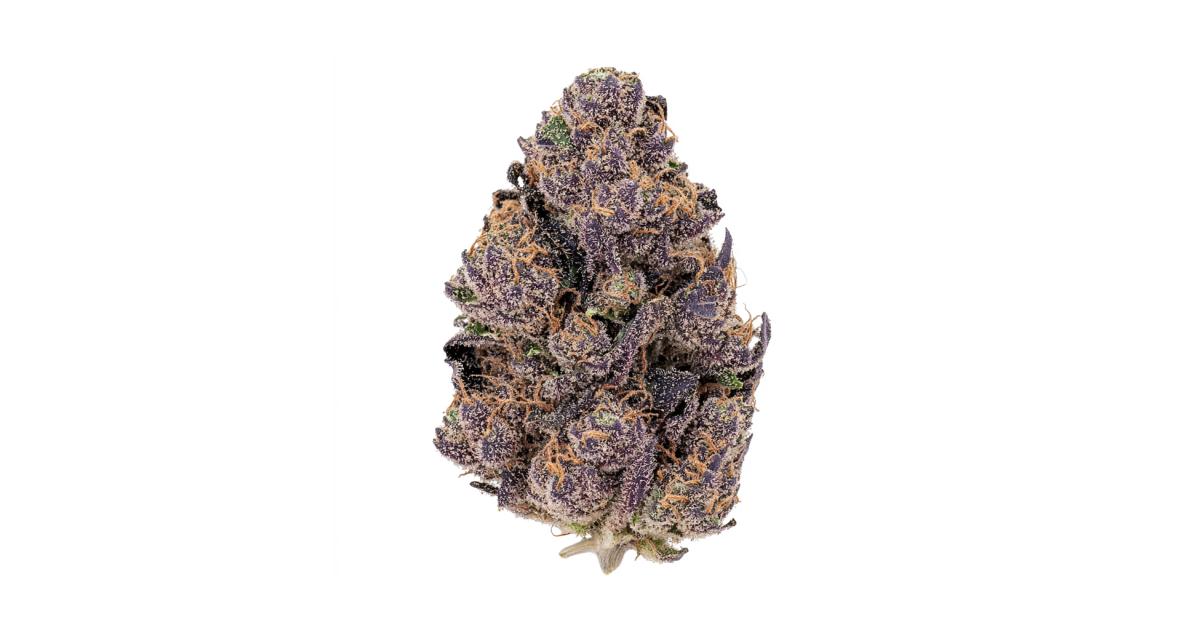 Studio 54 Stardust Auto Cannabis Strain Products - GrowDi