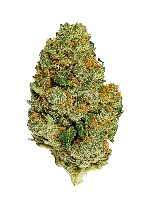 Sour Dizzle