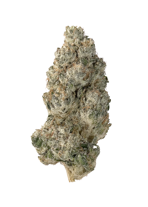 Galactic Guava