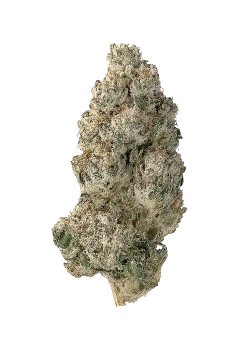 Galactic Guava