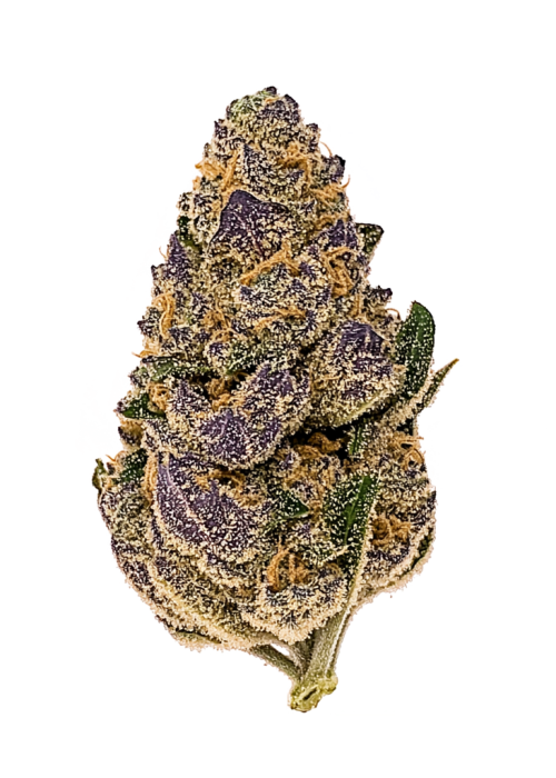 Gobstomper