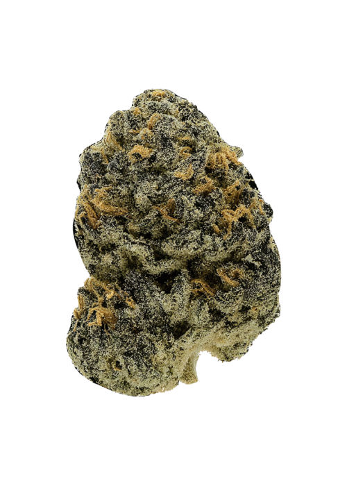 Don Legacy OG