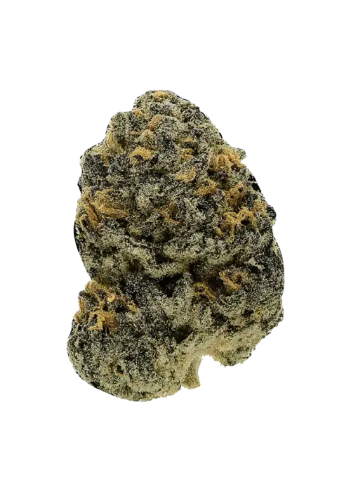 Don Legacy OG