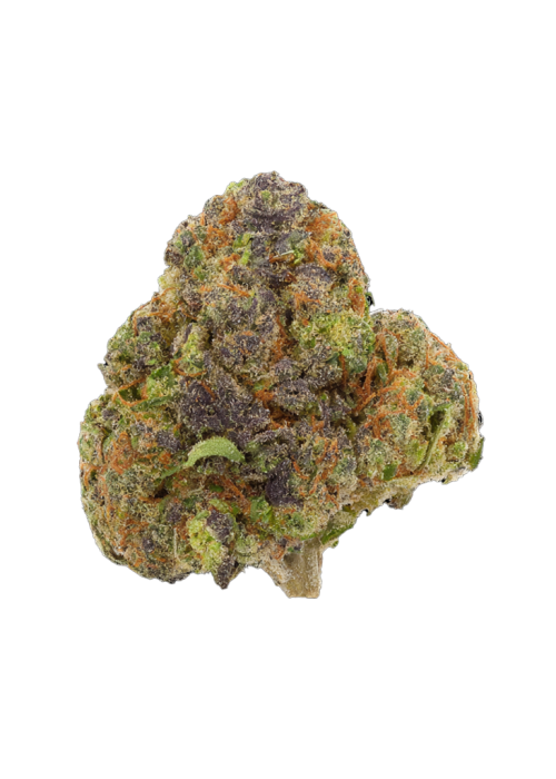 Gelato 41 × Coffin Candy