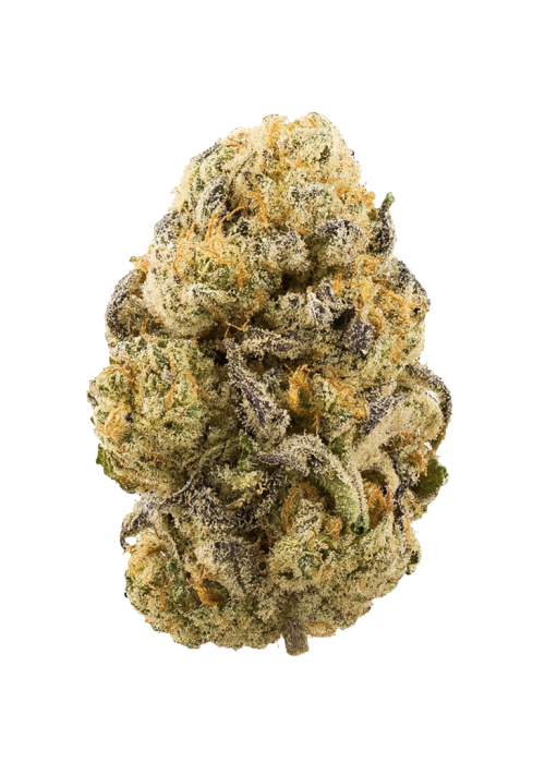 God’s Gift Hash Plant x Coffin Candy