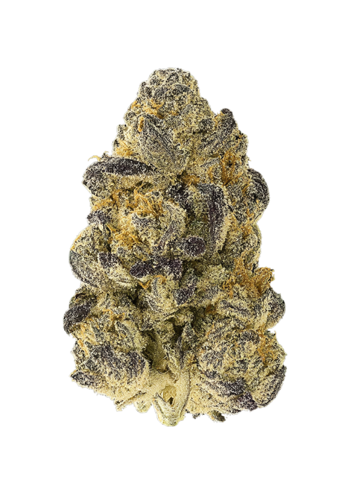 Purple Soda x Coffin Candy