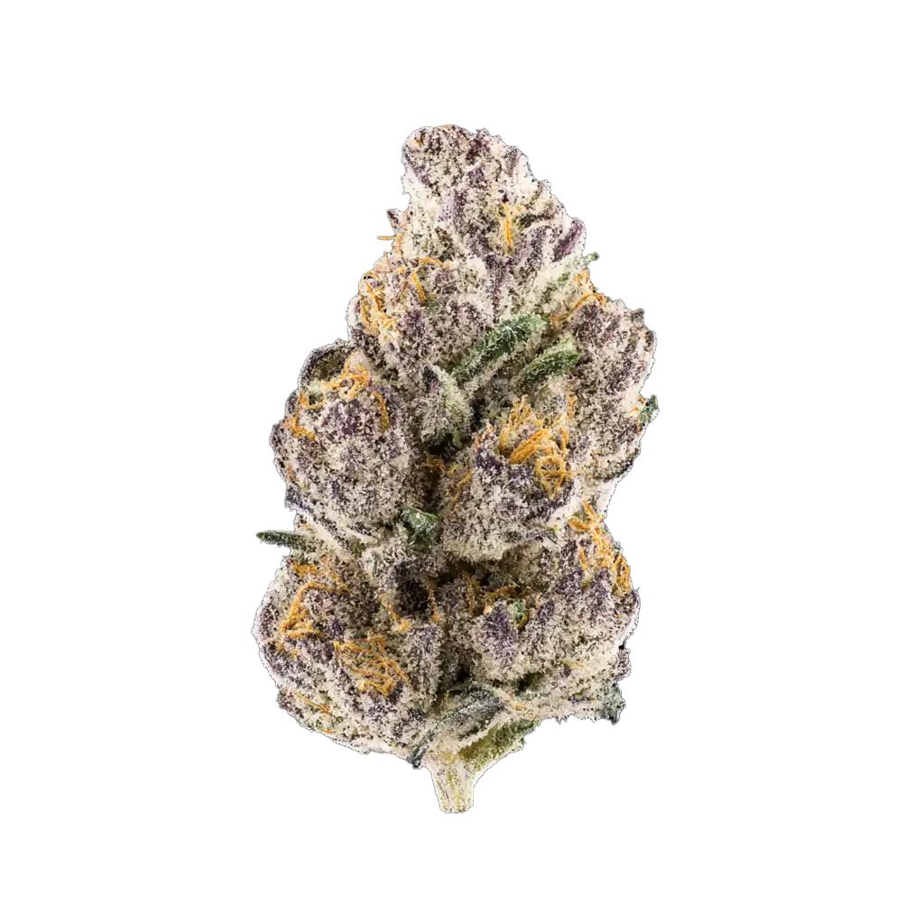 スズムシパイナップル Amazon | MOONEYES BLUE PANIC Original Pineapple Air Valve Stem Cap