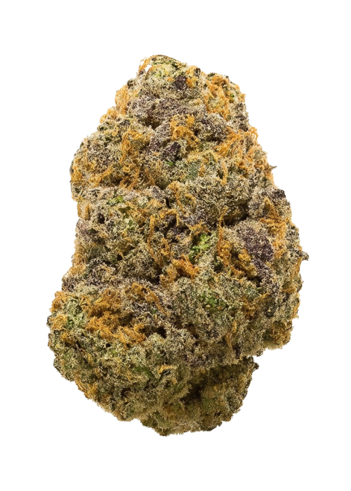 Strawberry Nepalese x Coffin Candy