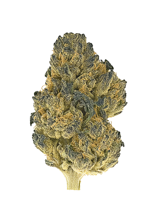 Lemonessence