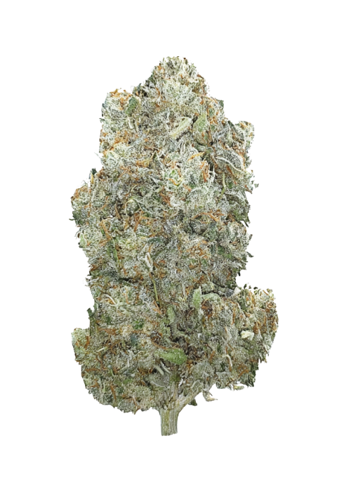 White Taffi