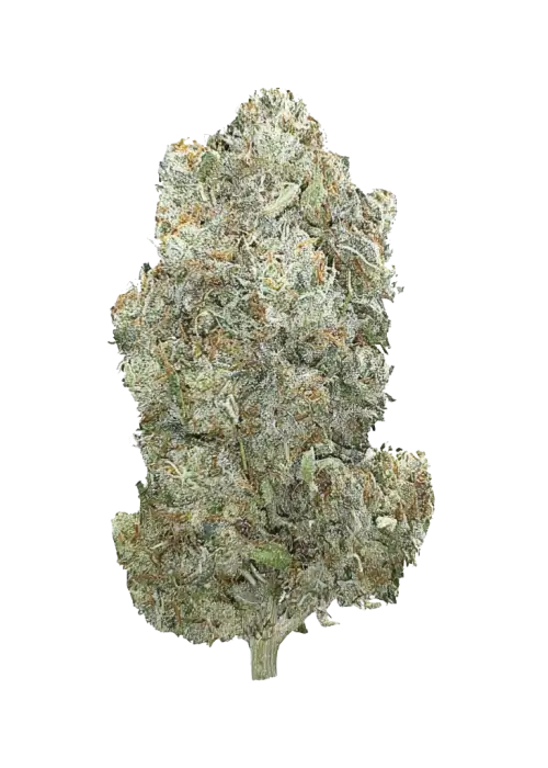 White Taffi