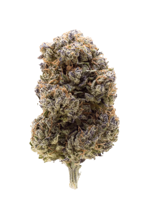 Lemongrass Gas
