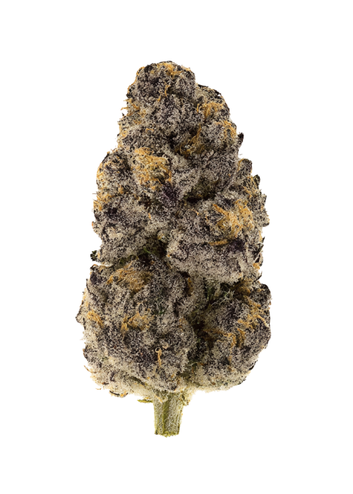 Butterberry