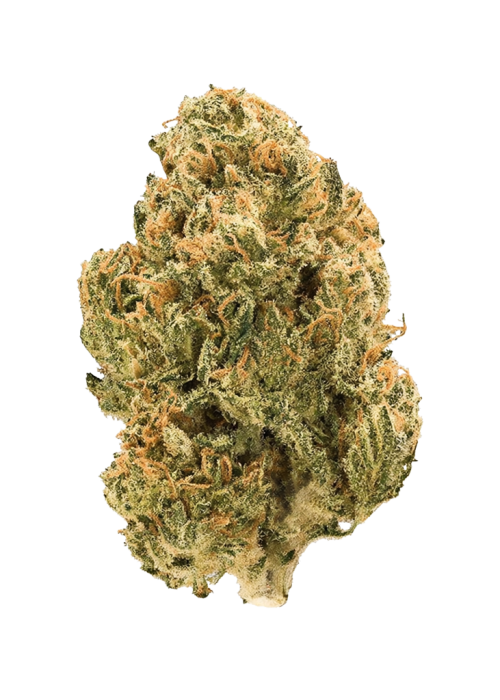Perma Diesel