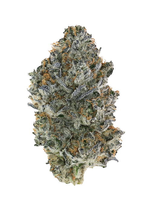 El Cucuy OG