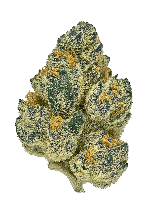 Oompa Loompa OG