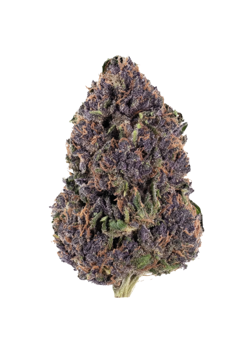 Buckfast OG