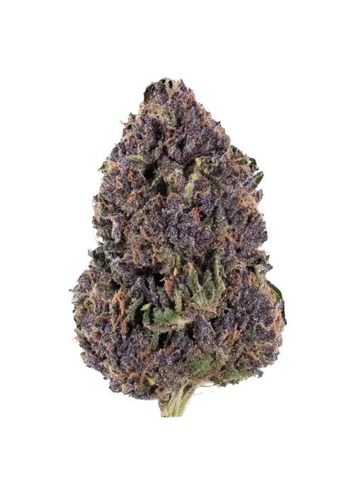 Buckfast OG