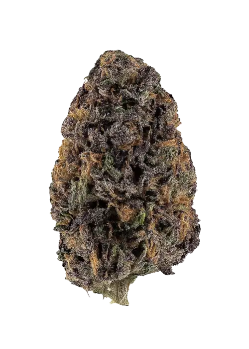 Deep Purple Crush