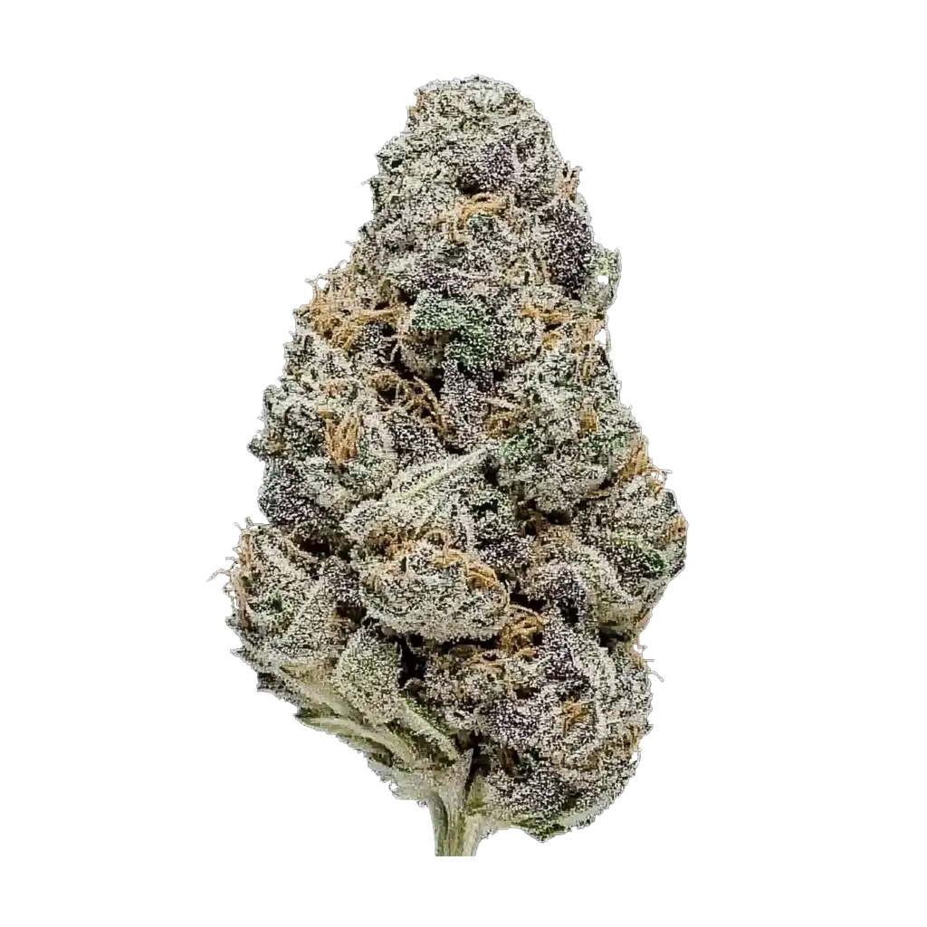 Super Lemon Haze x Pink Candy Cannabis Strain Information