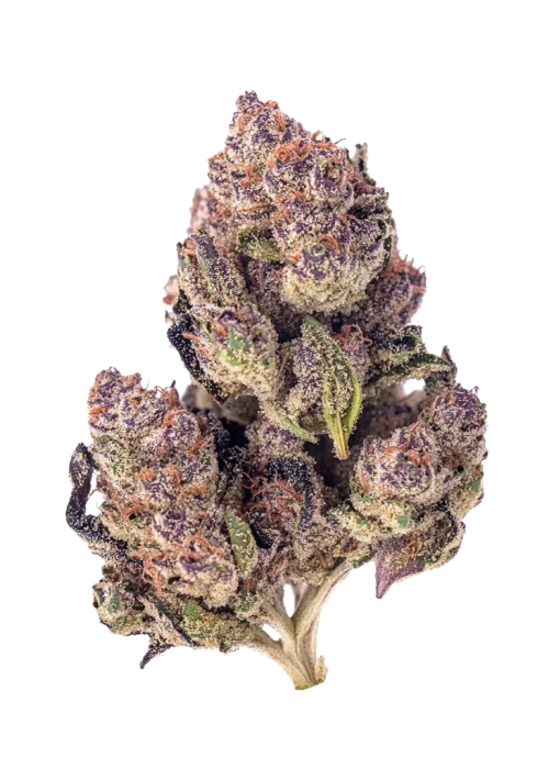 Cherry Superboof #26