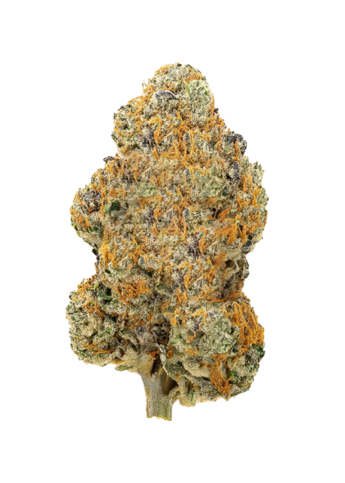 Peach Tree