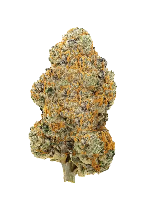 Peach Tree