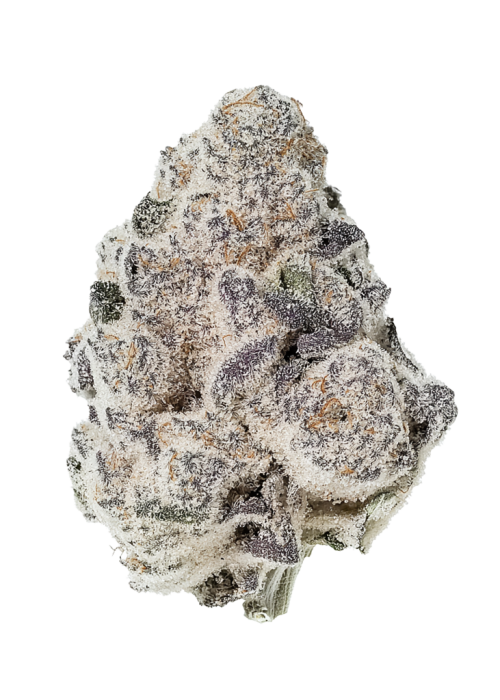 Super Boof Auto