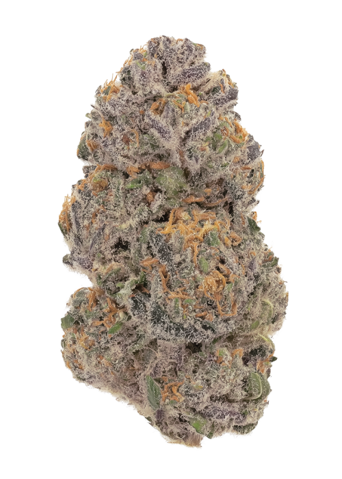 Ethos Cookies #16