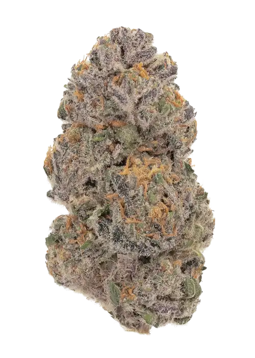 Ethos Cookies #16