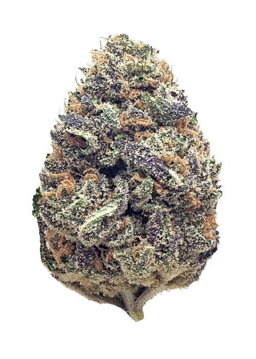 Chaos Cake Auto