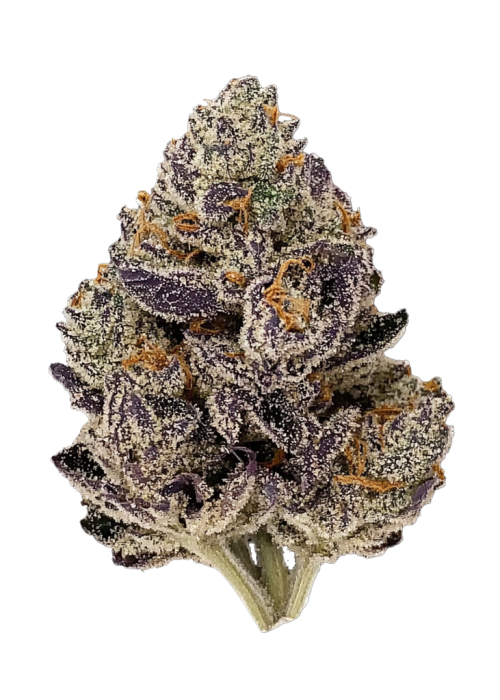 Dankberry Auto