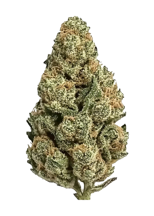 Sticky Boof Auto