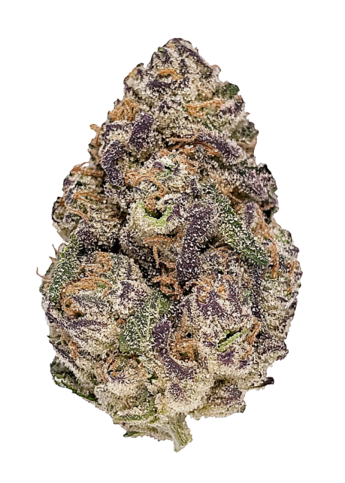 Auto Purple Opium