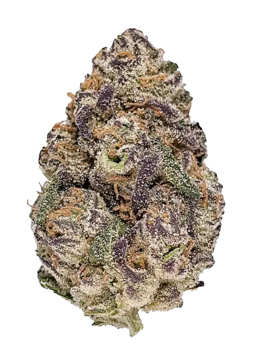 Auto Purple Opium