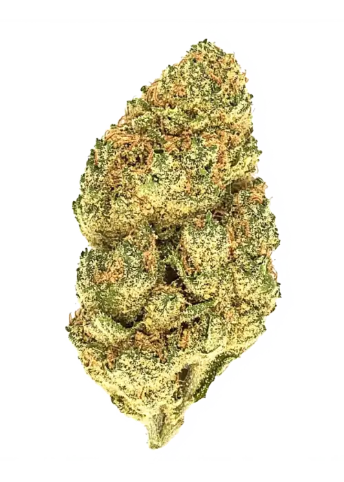 Lemon Zephyr
