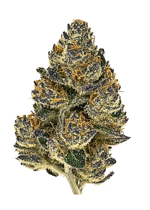 CandyGaz
