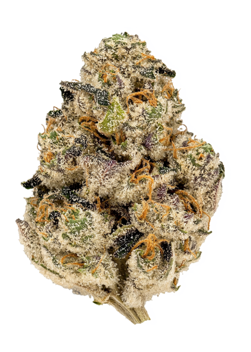 RS11 x Sour Face