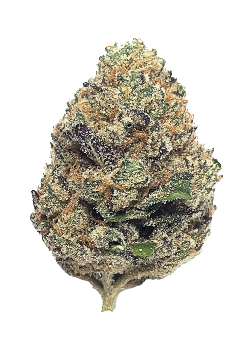 Blue Sherbet x RuntZ