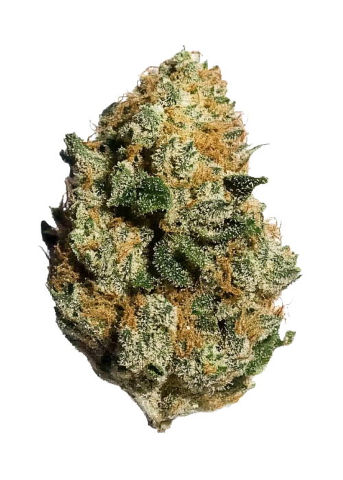 White OG x RuntZ
