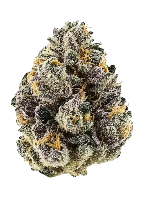 Gary Payton x Purple Punch