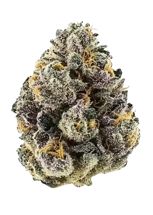 Gary Payton x Purple Punch