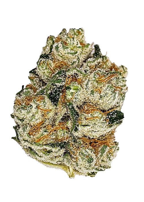 Motorbreath x Sour Face