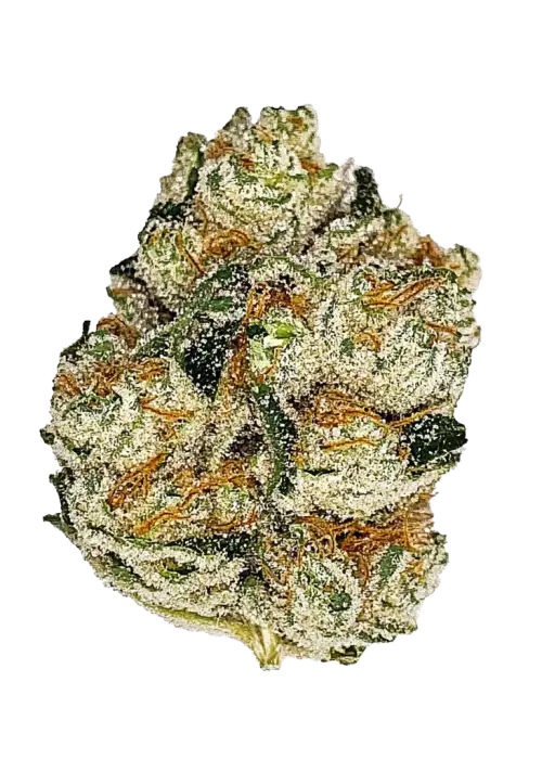 Motorbreath x Sour Face