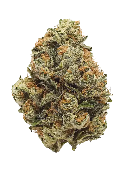 Toxic x Sour Face