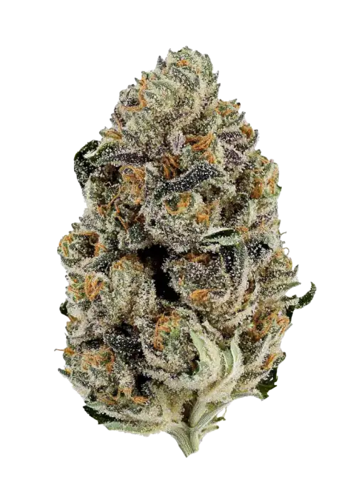 Candy Cream Go Fast