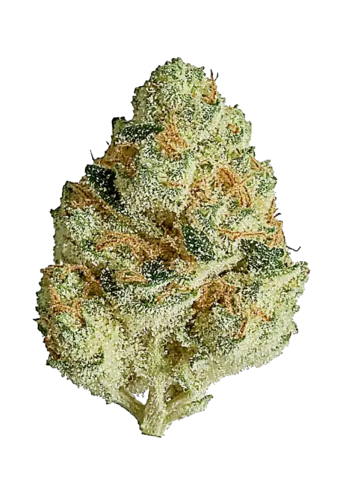 Pure Skunk Go Fast