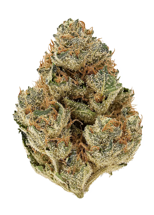 California Octane Triploid