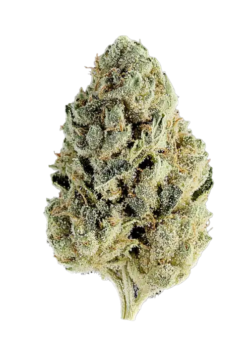 Banana Melt