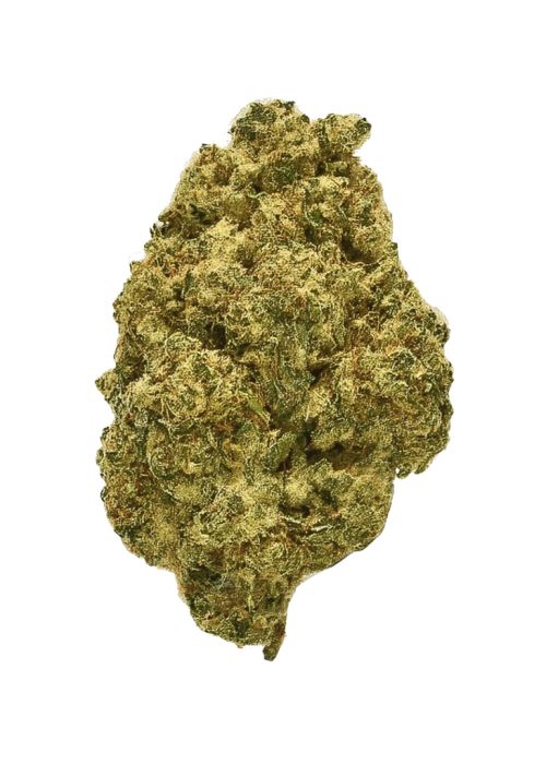 Herz OG